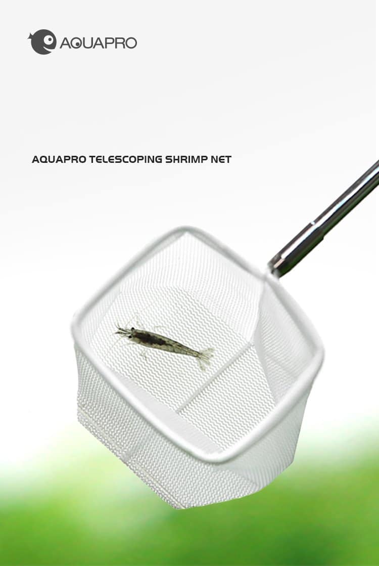 Aquapro 3D Shrimp Net Retractable